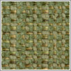 Fern E14.3 Fern E14.3