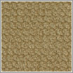 Cork E11.5 Cork E11.5